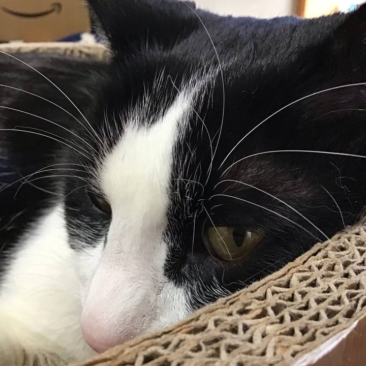 042faf35 fe7c 46cf aa4f abcc772dc327 1738209790794