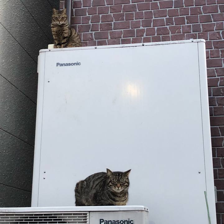 042fb1fa 9f7e 4aa0 9963 f8ea950ea8ea 1522009775997