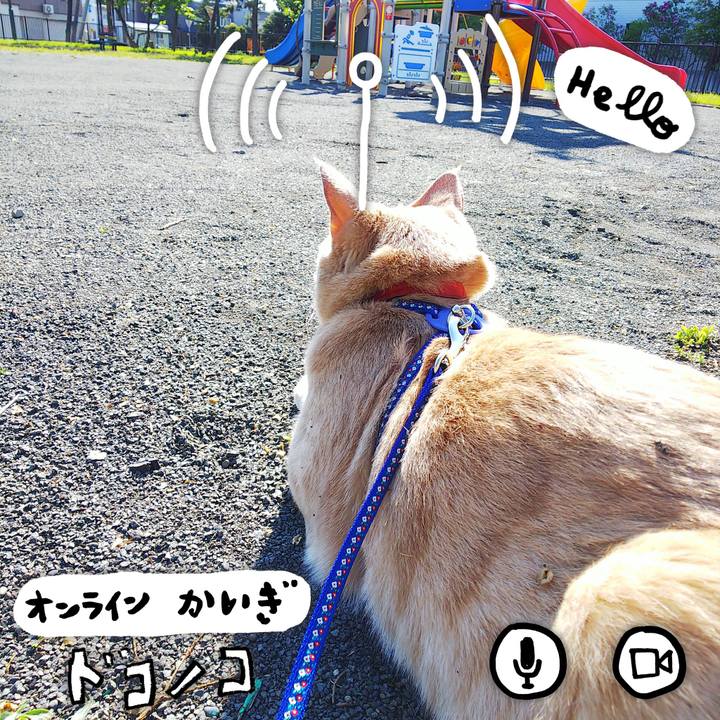 042fb8d2 2dcf 48b6 ba19 d6bf70ed7547 1590713350738