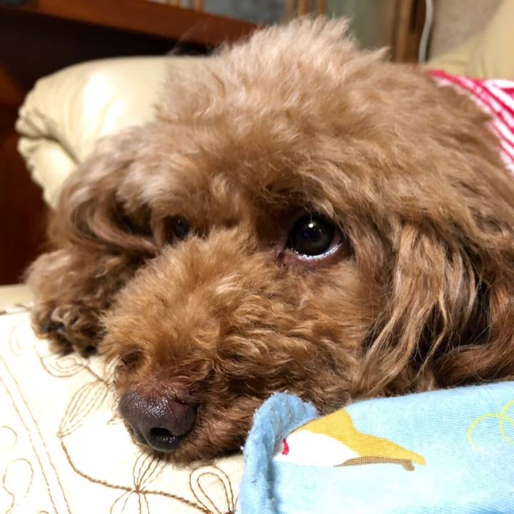 042fd6d1 221a 4d2c a30d e3c39c7a9cb7 1562494407201