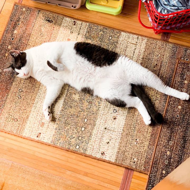 04302527 fcce 4970 9570 df78aba9b648 1564362588565