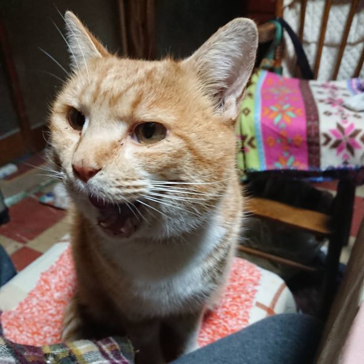 043030dd 0d86 48f3 86ce 4108b1f08aa2 1577651211513