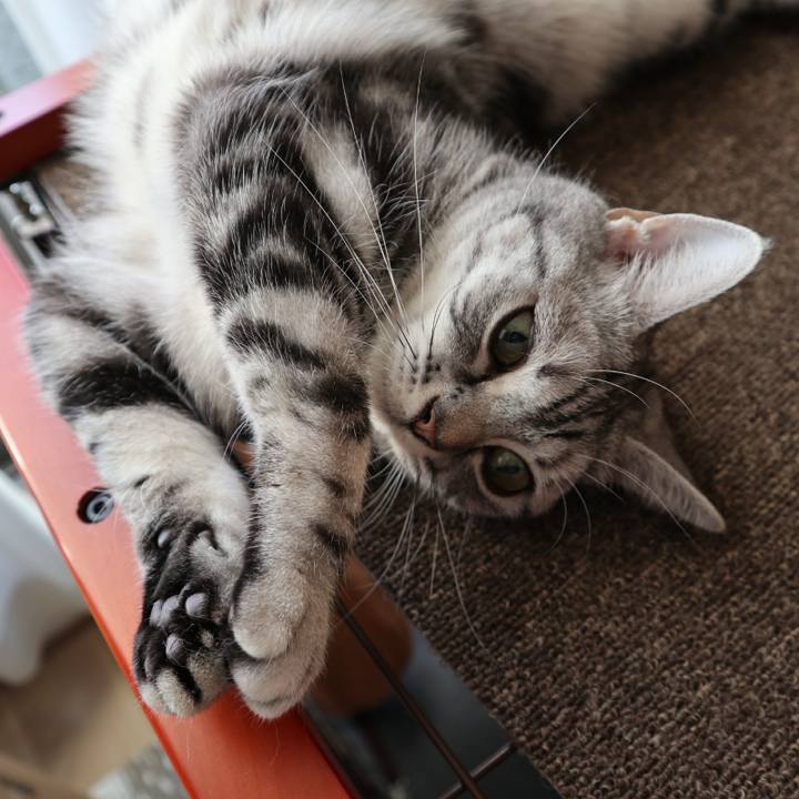 043055b0 fb8a 48bc b2c6 e2352c642738 1586859309824