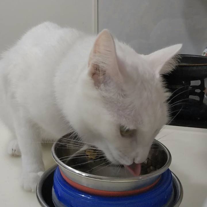 04305999 9aec 4ac3 aa84 b6591b51c511 1630190647715