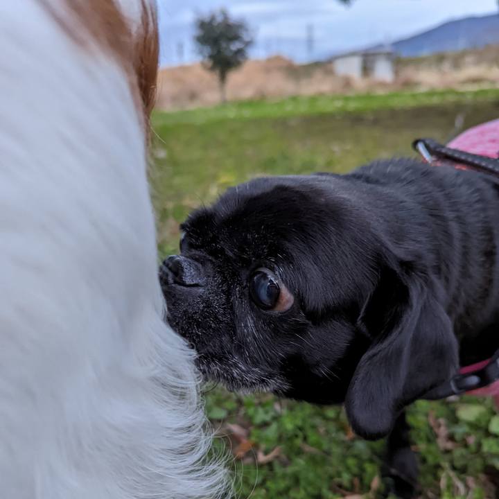 04306689 c131 42e4 9041 0b9cd7cacb27 1638271691009