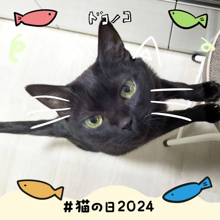 04306c5f ce0e 4ec9 a5cf 1dda35331463 1708598038164