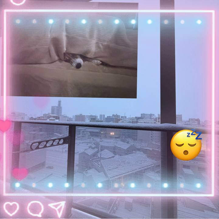 0430803f 5828 4aac b3ec a3a37a9444df 1769294349004