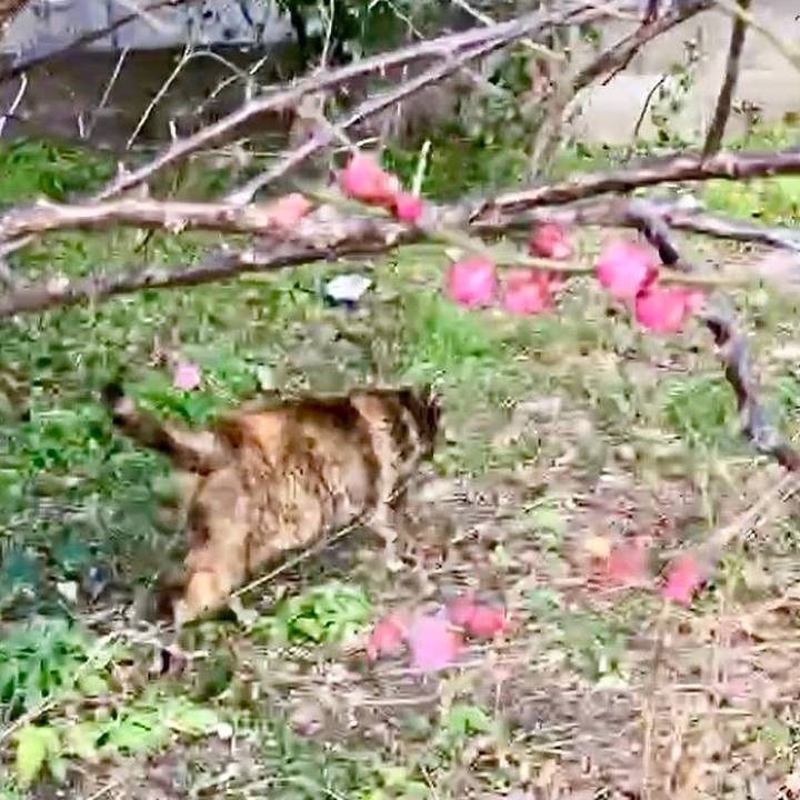 043088a1 c541 4364 be7d 197d4b6ef734 1740276307385