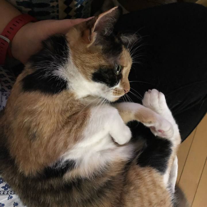 0430f2b9 0d44 4012 829e 8d7e0150e432 1561373951652