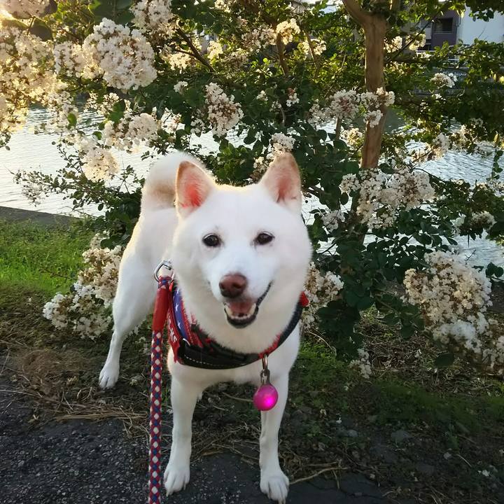 04311f17 cfee 43c1 bdb9 e333dd0a1c00 1631352494765