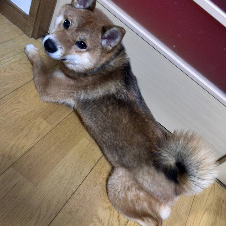 043148fb c153 4cc2 92b1 5675ea6ca63f 1518651528349