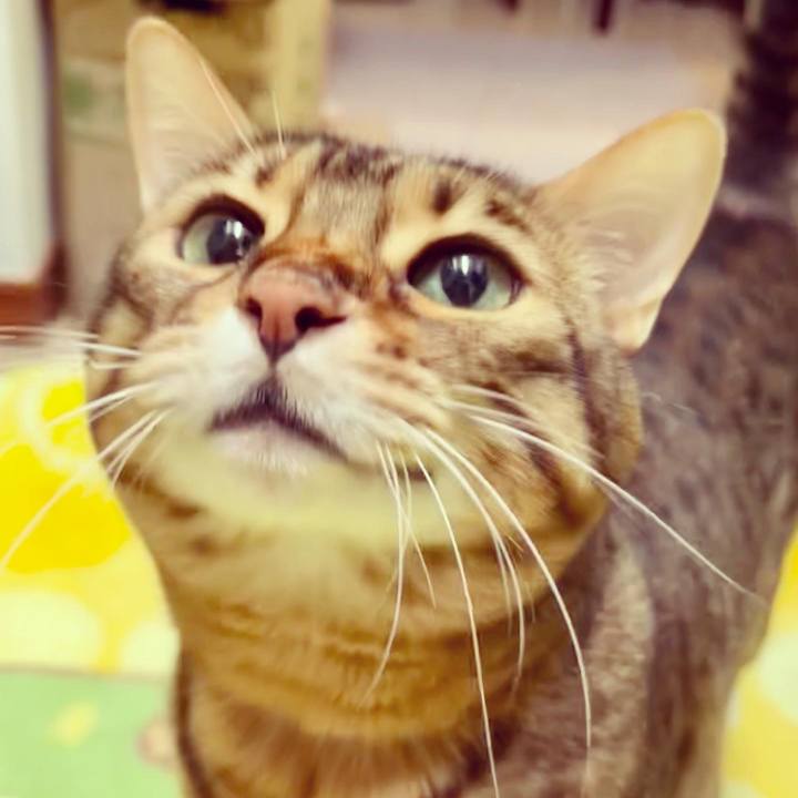 043168ae 5521 4f5e 90c9 71ae0e9d8862 1652235563202