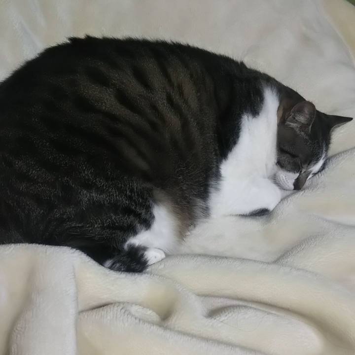 0431f891 83c5 4fed 9e25 feaca2d97130 1619442655525