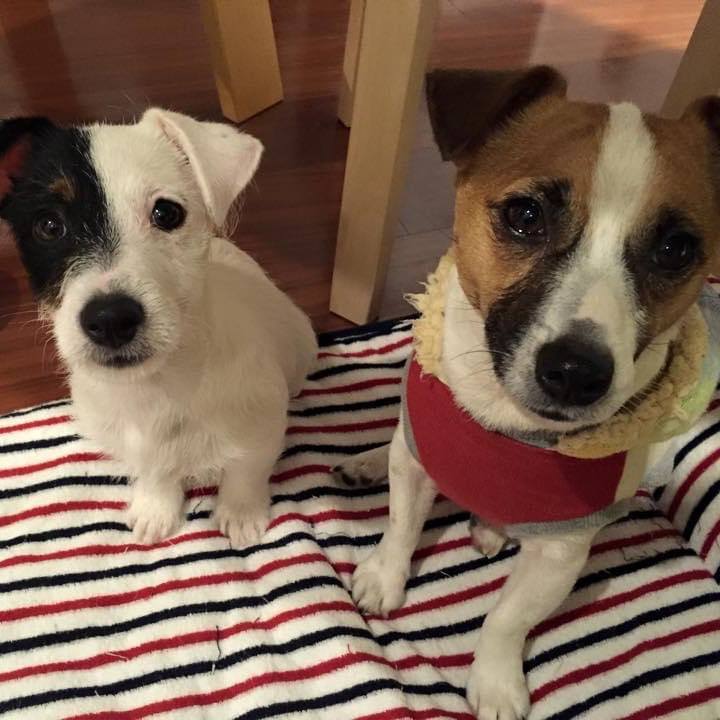 043211c6 c906 44f0 b57e 3b070563dd24 1677504314410