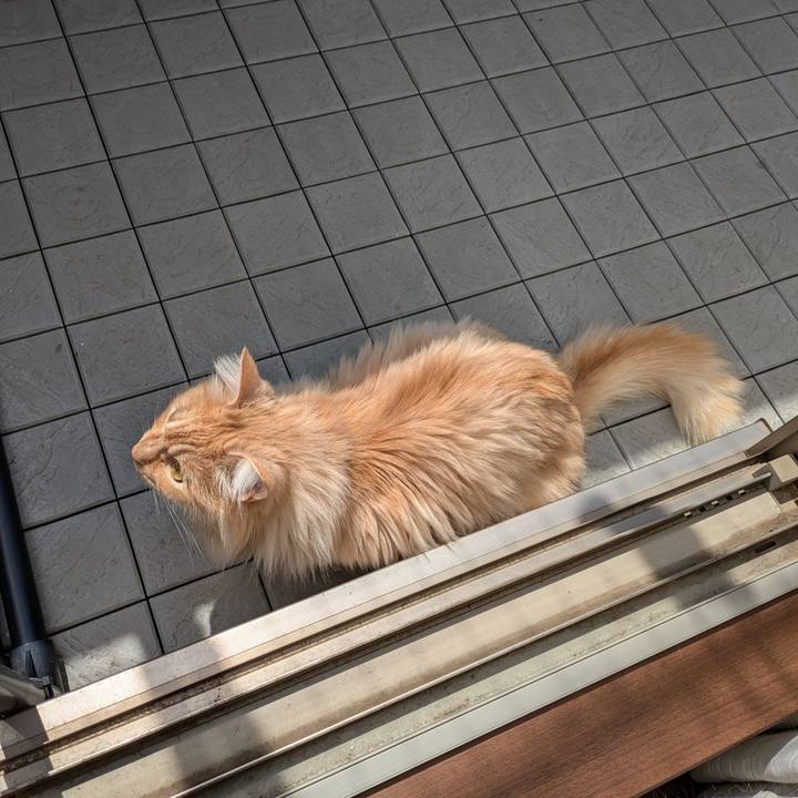 043234f2 e5d9 4f2e 8378 8d3ae882554b 1742273664682