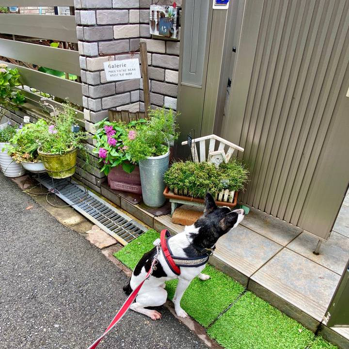 04326a45 1af3 4c66 98cf 0894996ac991 1595116703759