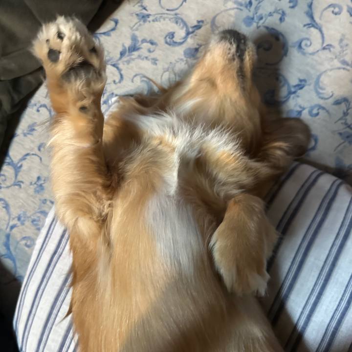 043283e5 5dfa 4732 aed8 521ad7be9d00 1699649871058