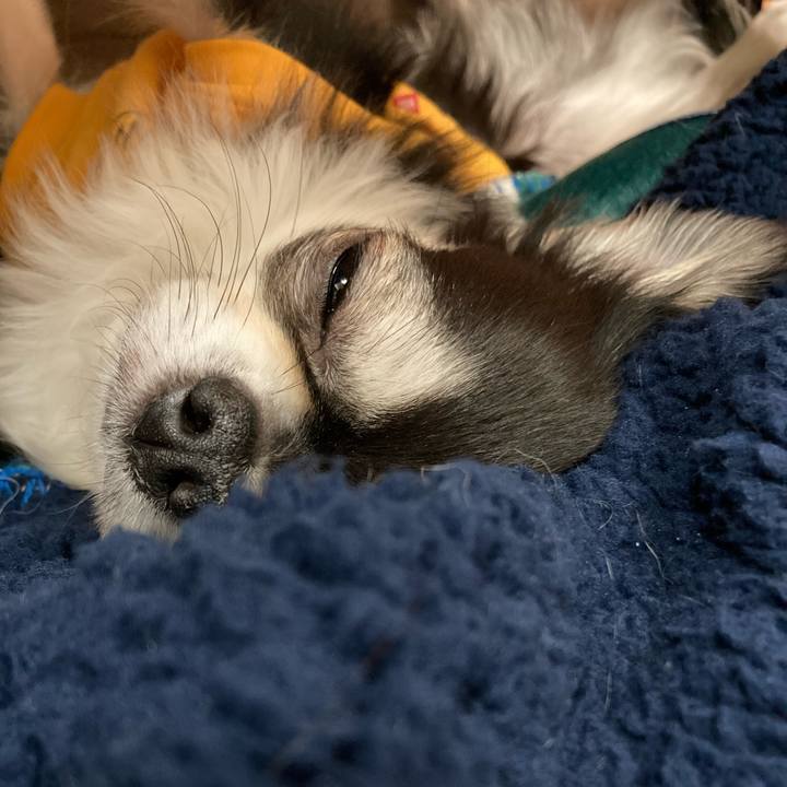 0433135a f880 4687 89ec 6420ccceaa5f 1676213232351