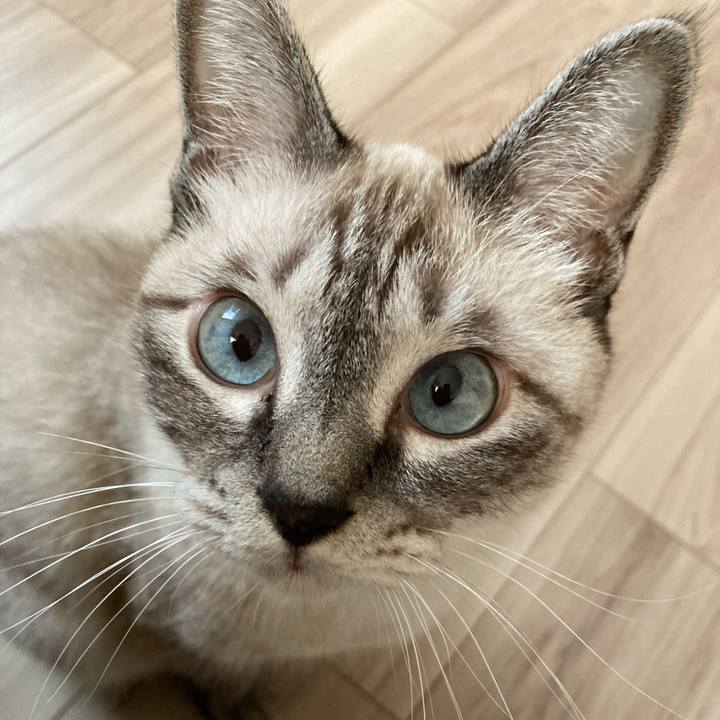 04334bd0 ad29 4342 9b16 817fa3093299 1631002475092