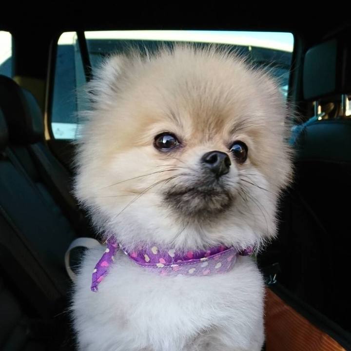 04338660 f31a 4d6c 909c a77c135f9ca9 1550481771223