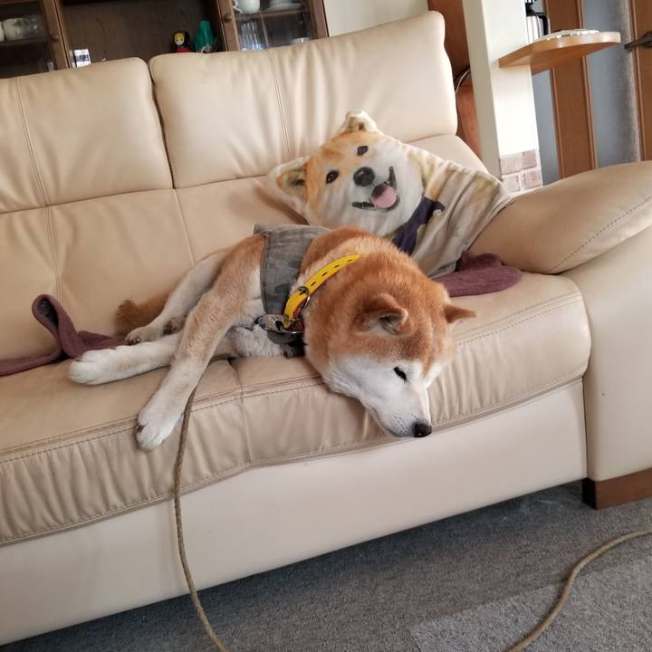 0433934f b9a4 4094 a24b 28ea73863eb3 1680646798016