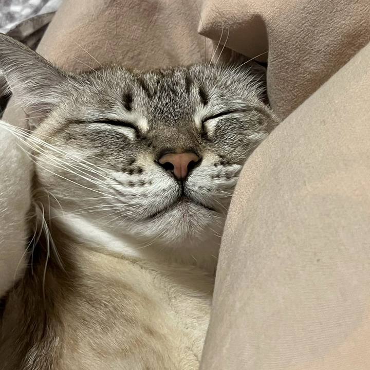 0433df42 a74b 4abc a737 0b81575a9813 1736616551322