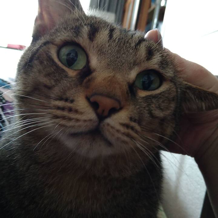 0434060c 03d1 4ece 9e75 5da07da8fa13 1631924993363