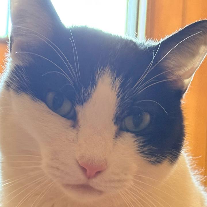 043419cc 1ad8 4bb8 b037 da1e527e3ec6 1770430883428