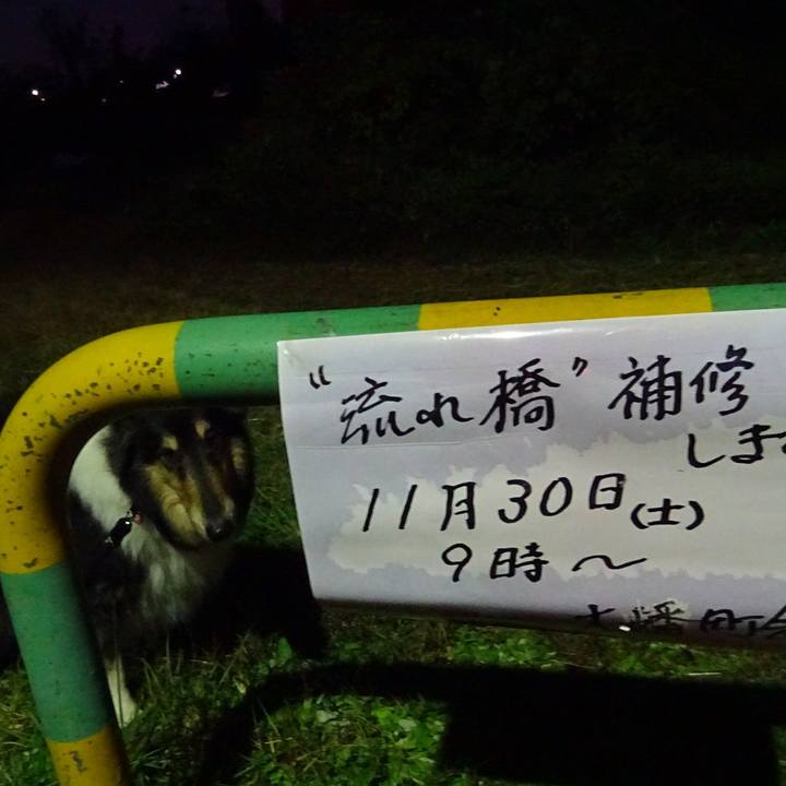 04345b4d 195c 40b1 992e 5cb1adb39e05 1575029149409