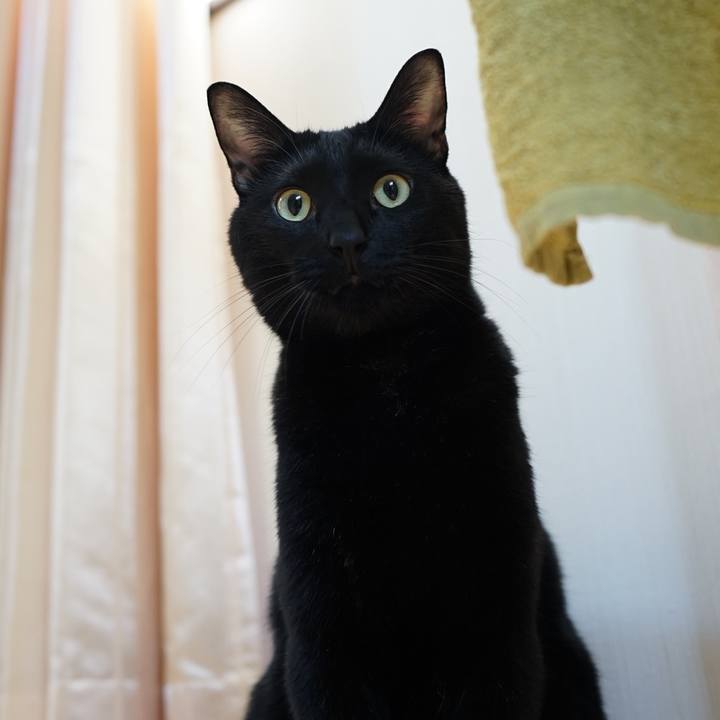 04346d83 05f8 4cb7 8b45 126896e35875 1570664989907