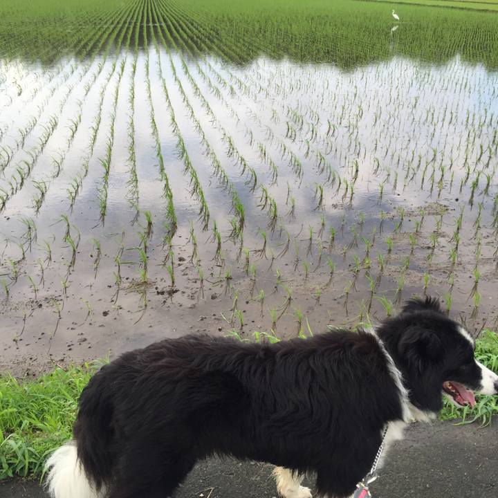 04347d9f e8f4 4481 a62d dc15f4717134 1530658303974