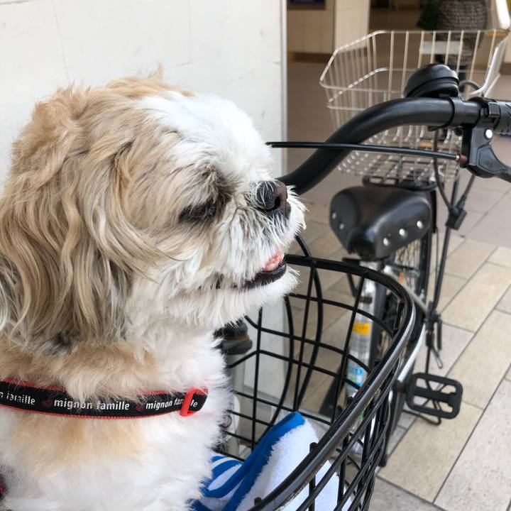 04348c96 dd55 4943 be9a ece5d1cf9e4e 1589147285082