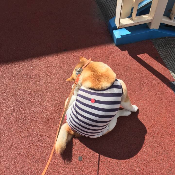 0434a381 aac0 438f bda5 1b7c590110d3 1553144090082