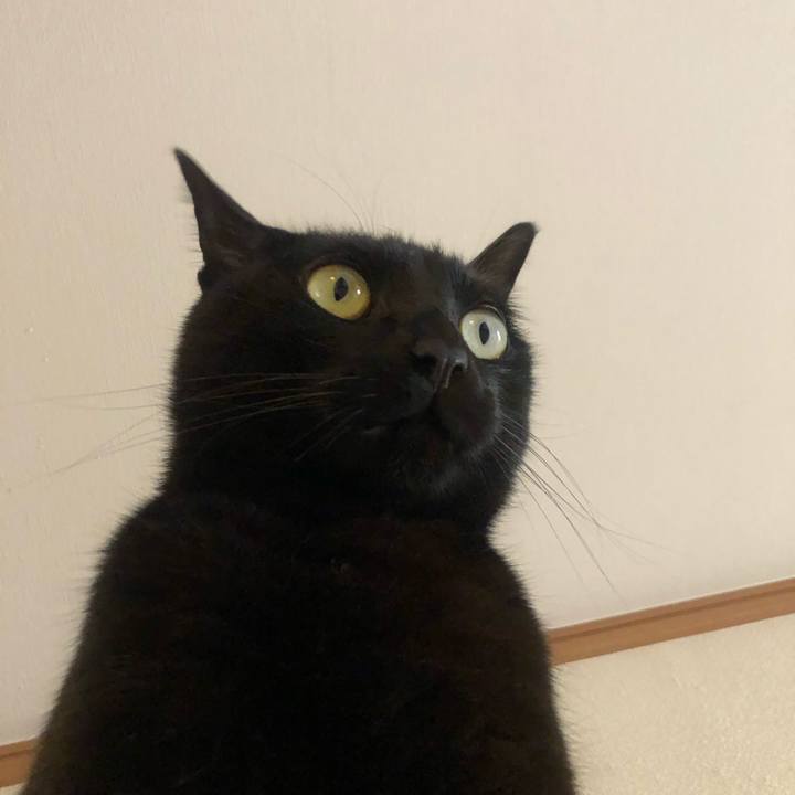 0434a811 62f0 46bb bf69 ad4afa56c75f 1587597492421