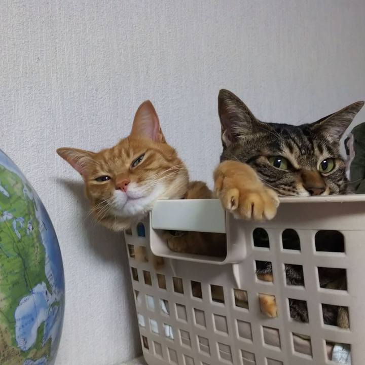 0434da5c 2b39 4938 b31d fc70e18c9581 1637681518810