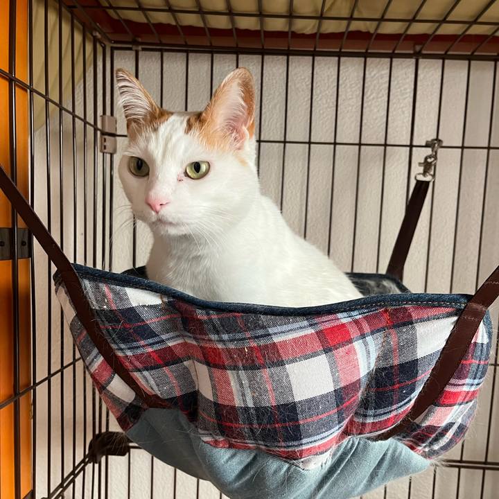 0434df97 aacf 4365 bdab bd808ef3ce7c 1773612292939