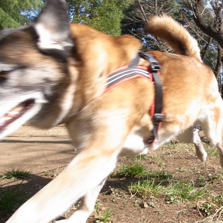 043536af de52 4ab0 a744 e79614cff175 1599955967831