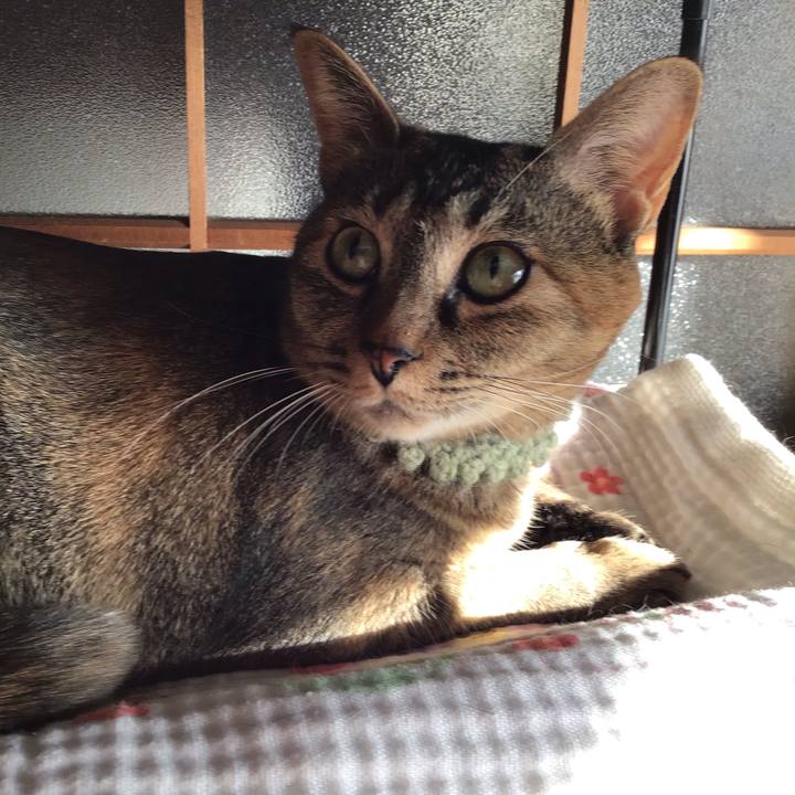 043588bc 56b8 459f b2ec 784408ed7efa 1646109400664