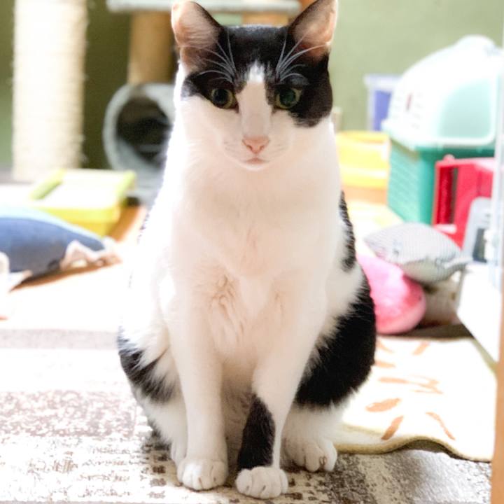 04362942 17ff 46fa 8d13 f040ea7b440d 1575600397600