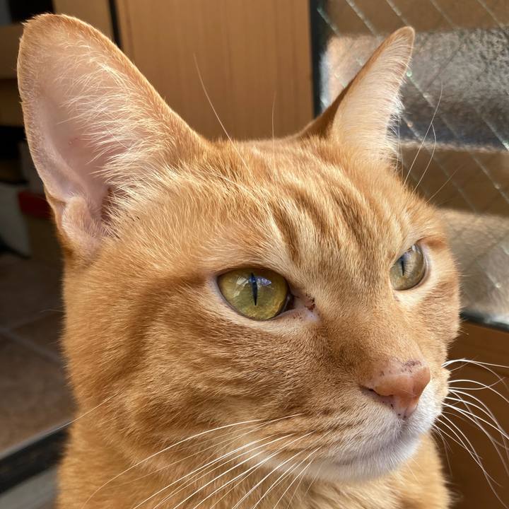 043653bc 0708 404e 88ce 64b107498107 1768015348208