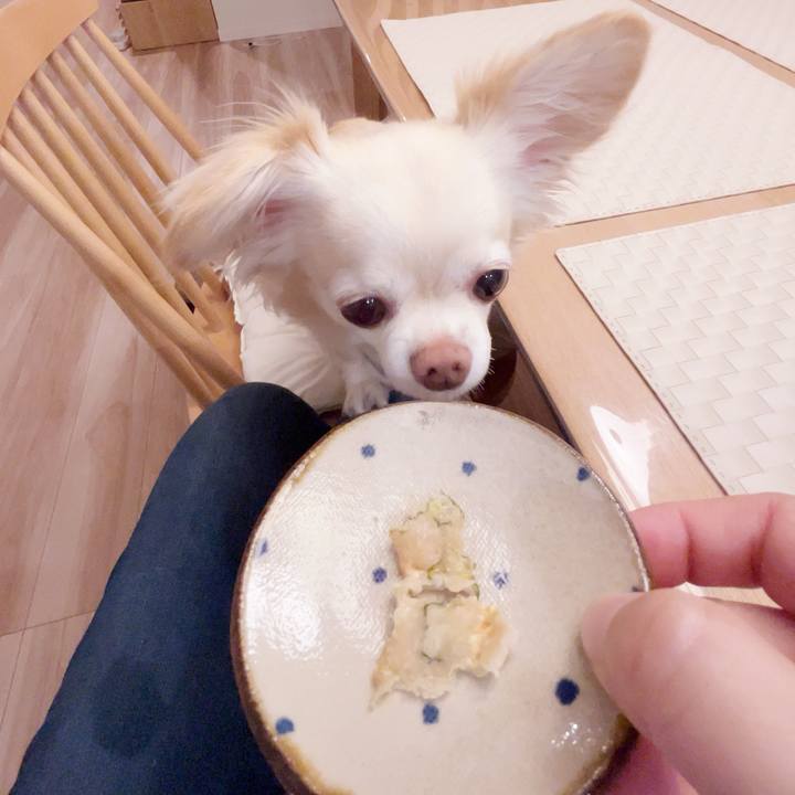 043686d2 47e2 4430 80fa ab509c4d2315 1750677154001