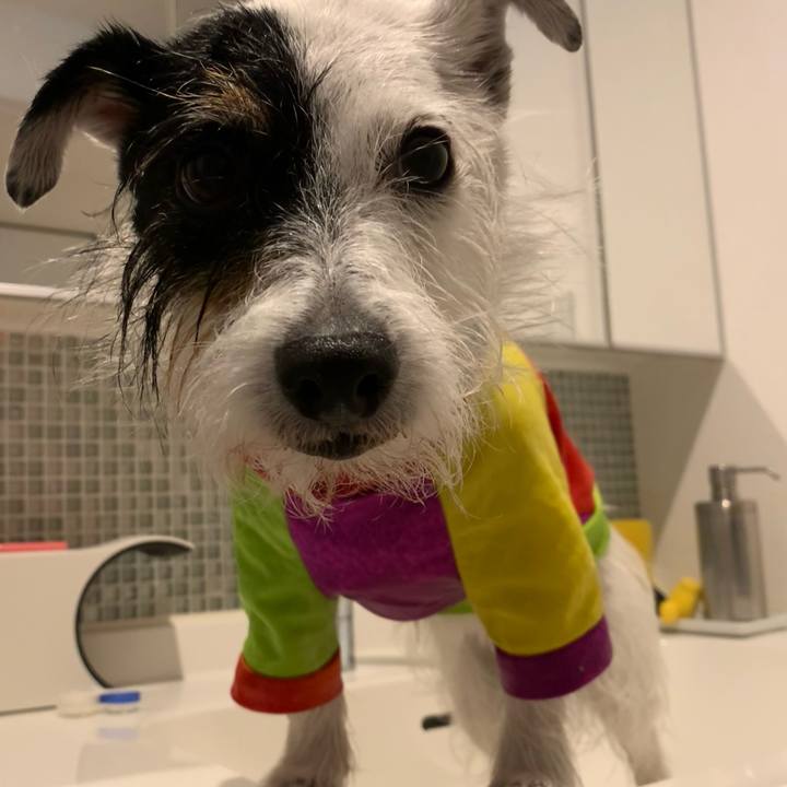 0436a86b bd72 4dc3 9b03 c84838e588fb 1721117422760