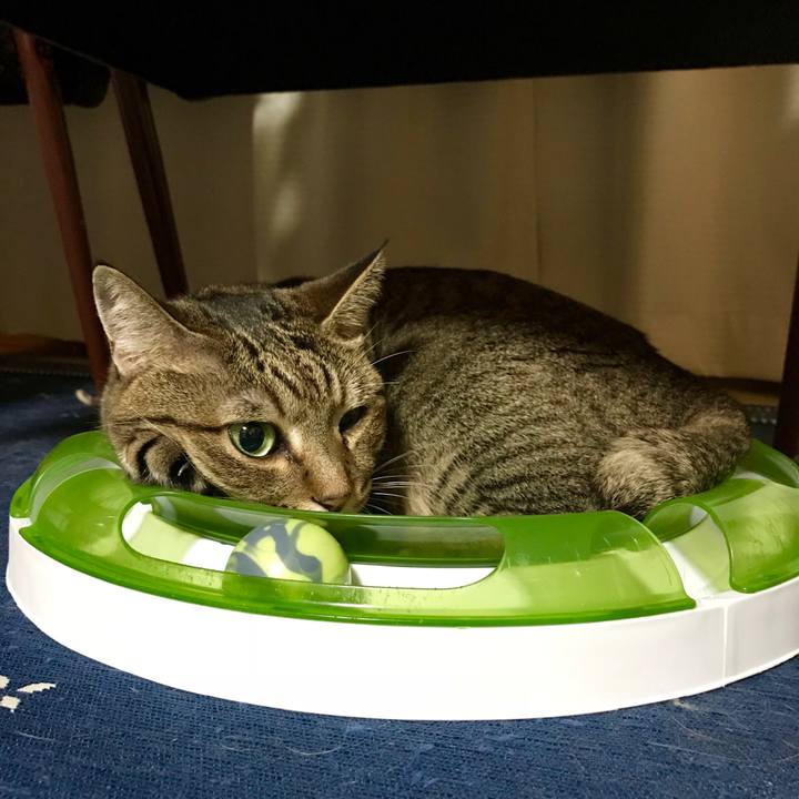 0437049a 3b6c 4bfe a92b 73e6ef66f64f 1536238959670