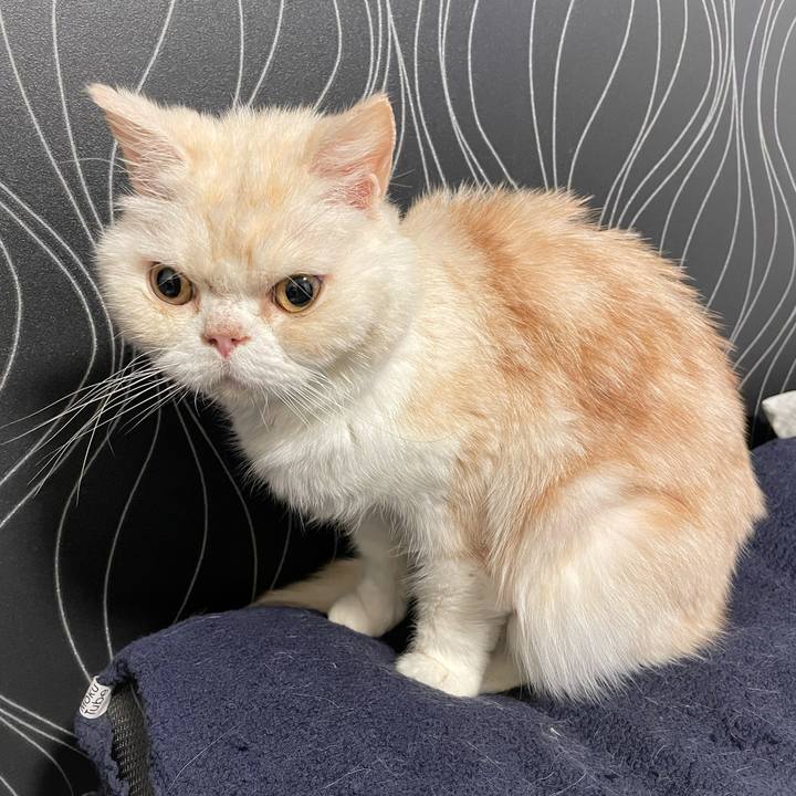 04371bf4 af86 43c6 8fa9 73c2cb9f7eb9 1767742731654