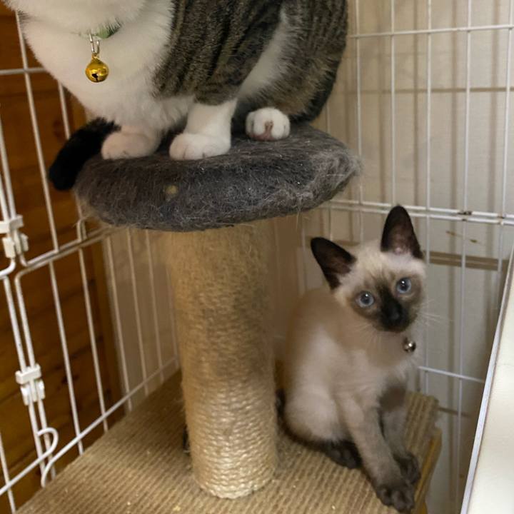 043761a2 0b48 40b7 9d99 d894854d3c11 1688883493949