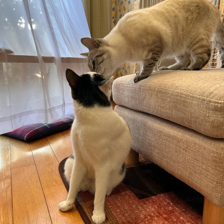 0437b245 8480 4cb1 bf04 53e79497197b 1768376397542