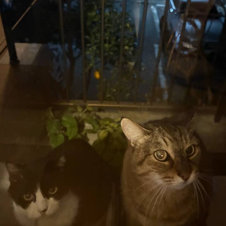 0437becc 320a 4f00 a863 5fe9d945d1c8 1766137466233