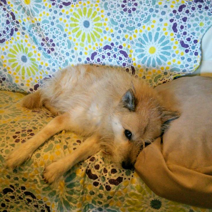 0437c3ec 9e58 43f0 9e8e cbdecc1d0438 1517966893528