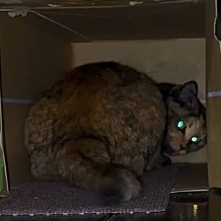 0437dd6a ae99 44ce 9825 109aa7066826 1758227183680