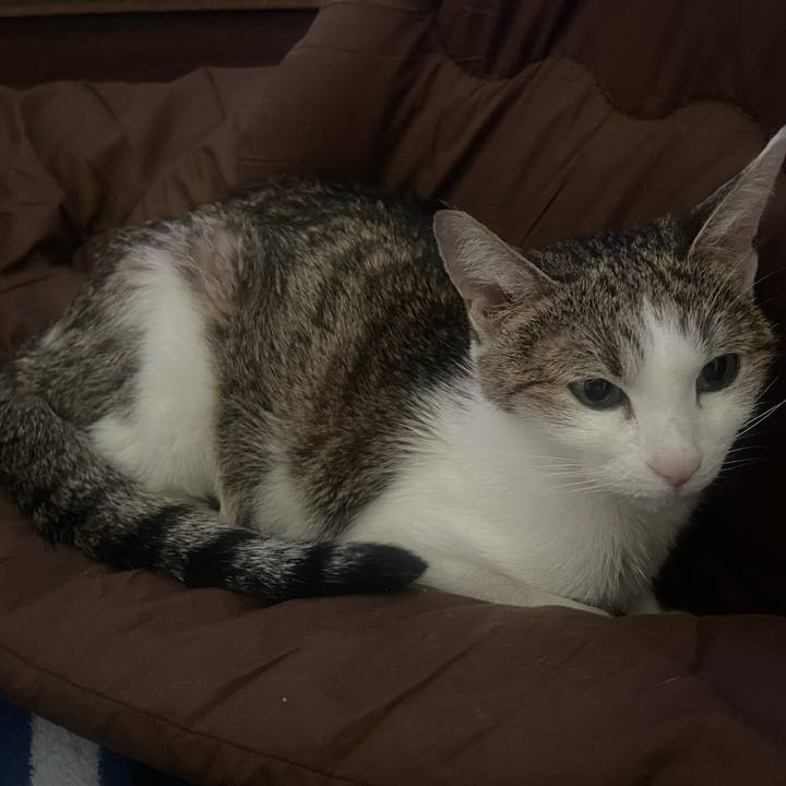 043812ec fbf5 4599 9384 c6640356cb6f 1641547252814